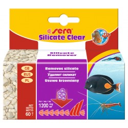 Silicate clear 60 g