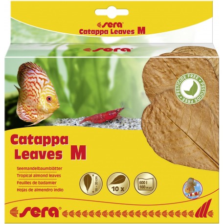 Liście migdałecznika - Catappa Leaves M, 18 cm, 10szt/OPAK