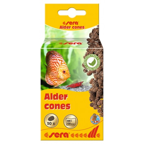 Szyszki olchy - Alder cones 50szt/OPAK