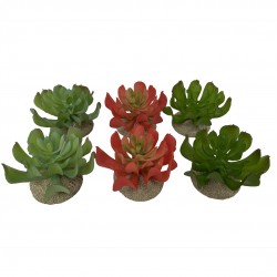 Sukulent Echeveria 1, ozdoba do terrarium, mix kolorów, 8,5x8x5,8 cm