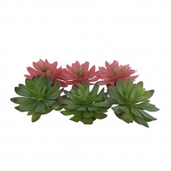 Sukulent Echeveria 2, ozdoba do terrarium, mix kolorów, 14x12,5x9,2 cm