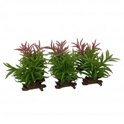 Sukulent Crassula, ozdoba do terrarium, mix kolorów, 13x10,5x16 cm
