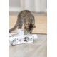 Cat Activity Paws'n'Treats Box, zabawka edukacyjna, dla kota, karton, 35 × 7 × 20 cm