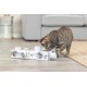 Cat Activity Paws'n'Treats Box, zabawka edukacyjna, dla kota, karton, 35 × 7 × 20 cm