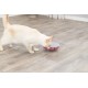 Cat Activity Rocking Maze, zabawka edukacyjna, dla kota, plastik, 18 cm