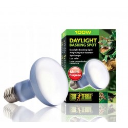 Żarówka Daylight Basking Spot R25/100W