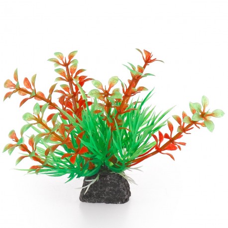 Aqua Natura, roślina, do dekoracji akwarium, zielono-pomarańczowa, plastikowa, 10 cm , wzrastające pędy i spirulina