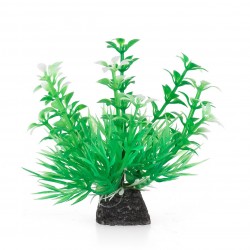 Aqua Natura, roślina, do dekoracji akwarium, zielona, plastikowa, 10 cm , wzrastające pędy i spirulina