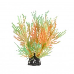 Aqua Natura, roślina, do dekoracji akwarium, miętowo-pomarańczowa, plastikowa, 10 cm , pnący sukulent