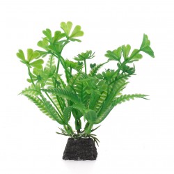 Aqua Natura, roślina, do dekoracji akwarium, zielona, plastikowa, 10 cm , alaria z kwiatami w kształcie koniczyny
