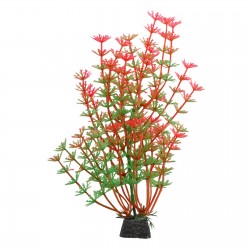 Aqua Natura, roślina, do dekoracji akwarium, zielono-czerwone, plastikowa, 20 cm , pędy kopru