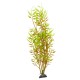 Aqua Natura, roślina, do dekoracji akwarium, żółta, plastikowa, 31 cm , młody beniaminek