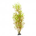 Aqua Natura, roślina, do dekoracji akwarium, żółta, plastikowa, 31 cm , młody beniaminek