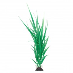 Aqua Natura, roślina, do dekoracji akwarium, zielona, plastikowa, 31 cm , dzika trawa