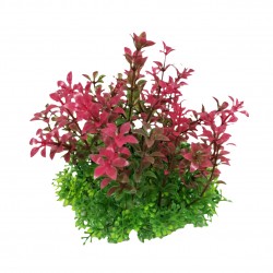 Aqua Natura, roślina, do dekoracji akwarium, fioletowa, plastikowa, 12 cm , szerokie gęste pędy z fioletowymi końcówkami