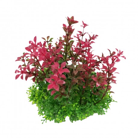 Aqua Natura, roślina, do dekoracji akwarium, fioletowa, plastikowa, 12 cm , szerokie gęste pędy z fioletowymi końcówkami