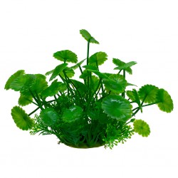 Aqua Natura, roślina, do dekoracji akwarium, zielona, plastikowa, 12 cm , liście parasolowate