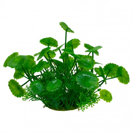 Aqua Natura, roślina, do dekoracji akwarium, zielona, plastikowa, 12 cm , liście parasolowate