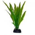 Aqua Natura, roślina, do dekoracji akwarium, zielona, plastikowa, 18 cm , wodorost leśny