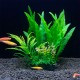 Aqua Natura, roślina, do dekoracji akwarium, zielona, plastikowa, 18 cm , paproć i wodorost leśny