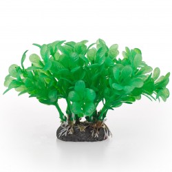 Aqua Natura, roślina, do dekoracji akwarium, zielona, plastikowa, 10 cm , wodna paprotka