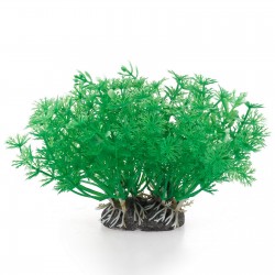 Aqua Natura, roślina, do dekoracji akwarium, zielona, plastikowa, 10 cm , pędy kopru, szerokie