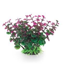 Aqua Natura, roślina, do dekoracji akwarium, zielono-fioletowa, plastikowa, 12 cm , peperomia