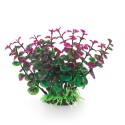 Aqua Natura, roślina, do dekoracji akwarium, zielono-fioletowa, plastikowa, 12 cm , peperomia
