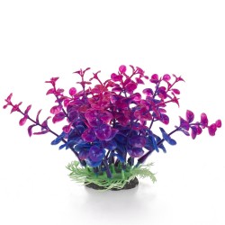 Aqua Natura, roślina, do dekoracji akwarium, granatowo-fioletowa, plastikowa, 12 cm , peperomia