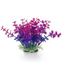 Aqua Natura, roślina, do dekoracji akwarium, granatowo-fioletowa, plastikowa, 12 cm , peperomia