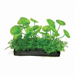 Aqua Natura, roślina, do dekoracji akwarium, zielona, plastikowa, 10 cm , liście w kształcie dysków