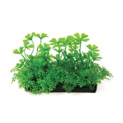 Aqua Natura, roślina, do dekoracji akwarium, zielona, plastikowa, 10 cm , koniczyna
