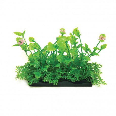 Aqua Natura, roślina, do dekoracji akwarium, zielona, plastikowa, 10 cm , żółtawe liście
