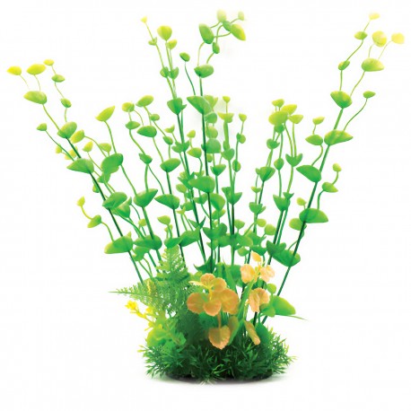 Aqua Natura, roślina, do dekoracji akwarium, żielona, plastikowa, 33 cm , rzadkie i drobne liśie, żółte na końcowkach