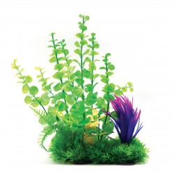 Aqua Natura, roślina, do dekoracji akwarium, zielona, plastikowa, 26 cm , z fioletowym dodatkiem