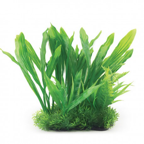 Aqua Natura, roślina, do dekoracji akwarium, zielona, plastikowa, 26 cm , długie płaskie liście