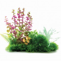 Aqua Natura, roślina, do dekoracji akwarium, zielona, plastikowa, 12-26 cm , różne rodzaje roślin, liście przebarwione na czerw