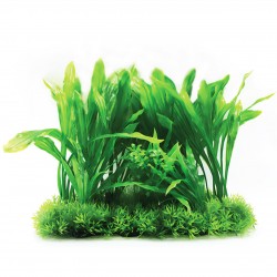 Aqua Natura, roślina, do dekoracji akwarium, zielona, plastikowa, 12-28 cm , długie i gęste liście