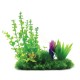 Aqua Natura, roślina, do dekoracji akwarium, zielona z dodatkiem fioletu, plastikowa, 12-31 cm , różne rodzaje roślin
