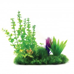 Aqua Natura, roślina, do dekoracji akwarium, zielona z dodatkiem fioletu, plastikowa, 12-31 cm , różne rodzaje roślin