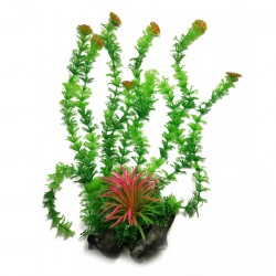 Aqua Natura, roślina, do dekoracji akwarium, zielona, plastikowa, 38 cm , chlorella z czerwonym akcentem i czerwonymi końcówkam