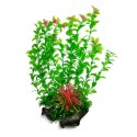 Aqua Natura, roślina, do dekoracji akwarium, zielona, plastikowa, 38 cm , chlorella z czerwonymi kwiatami
