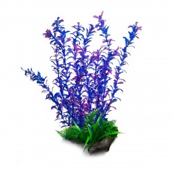 Aqua Natura, roślina, do dekoracji akwarium, niebieska, plastikowa, 38 cm , chlorella