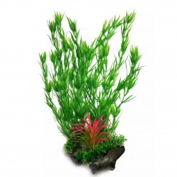 Aqua Natura, roślina, do dekoracji akwarium, zielona, plastikowa, 38 cm , wodny rozmaryn, czerwona trawa