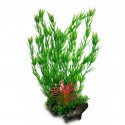 Aqua Natura, roślina, do dekoracji akwarium, zielona, plastikowa, 38 cm , wodny rozmaryn, czerwona trawa