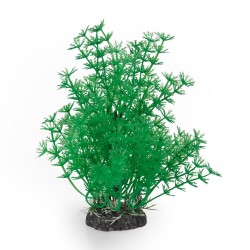 Aqua Natura, roślina, do dekoracji akwarium, zielona, plastikowa, 20 cm , bardzo gęste pędy kopru