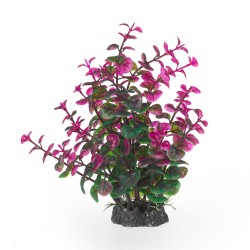 Aqua Natura, roślina, do dekoracji akwarium, zielono-fioletowa, plastikowa, 20 cm , peperomia