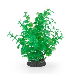 Aqua Natura, roślina, do dekoracji akwarium, zielona, plastikowa, 20 cm , wysoka peperomia