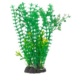 Aqua Natura, roślina, do dekoracji akwarium, zielona, plastikowa, 20 cm , pędy kopru, białe i żółte kwiaty
