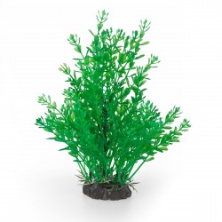 Aqua Natura, roślina, do dekoracji akwarium, zielona, plastikowa, 20 cm , gęste, drobne skrzydlate listki